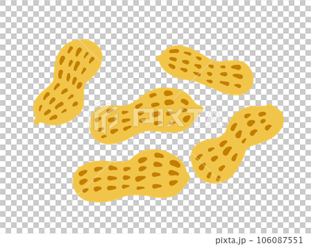 かわいい殻付きピーナッツ5個セット／手描きイラスト 106087551