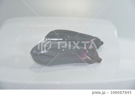 氷柱の中の茄子 106087845