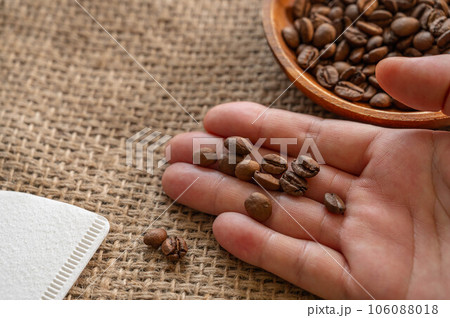 ブラジル　アナエロビック　コーヒー豆 106088018