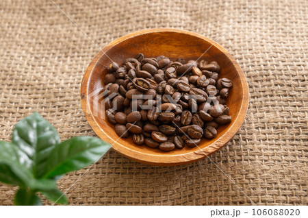 エチオピア産 モカ イルガチェフェ エチオピア産 モカ イルガチェフェ 106088020