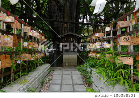 稲毛神社　第六天神社 106088501