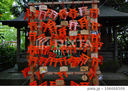 稲毛神社 106088509