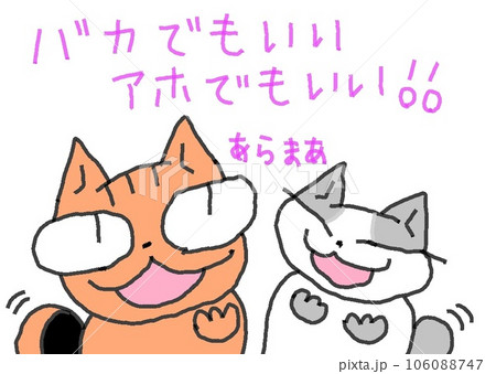 目が大きい猫のバカアホいい 目が大きい猫のバカアホいい 106088747