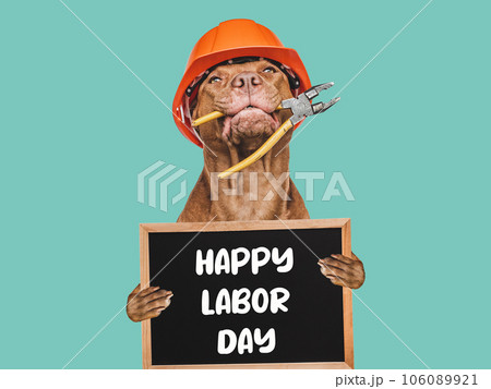 Happy Labor Day. Cute brown dog and a board 106089921