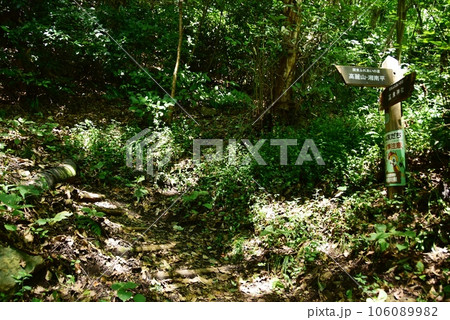 大磯町 高麗山県民の森ハイキングコース女坂と道しるべ 大磯町 高麗山県民の森ハイキングコース女坂と道しるべ 106089982