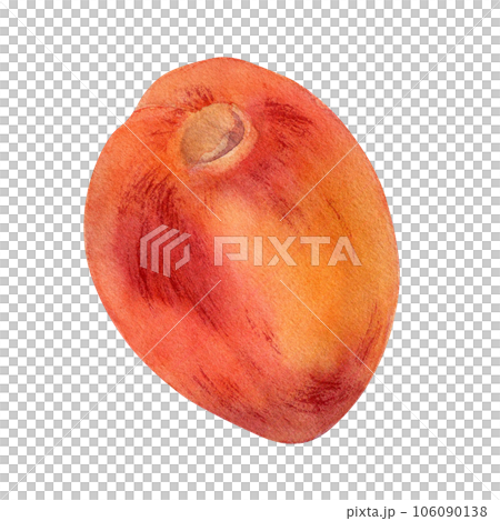 Fresh whole red peach watercolor illustration isolated on white. Hand drawn ripe orange fruit nectarine. Painting food illustration, design element for package, label Fresh whole red peach watercolor illustration isolated on white. Hand drawn ripe orange fruit nectarine. Painting food illustration, design element for package, label 106090138