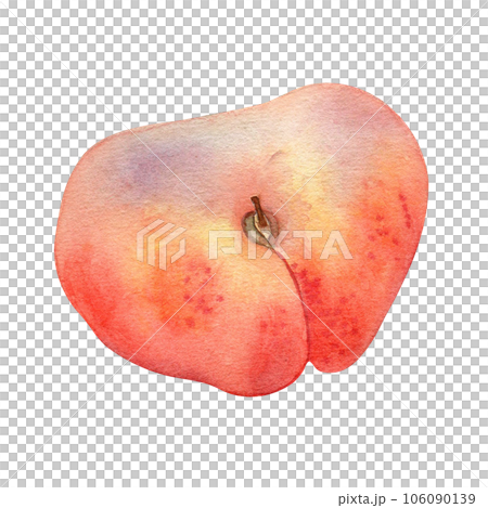 Chinese flat fig peach pink watercolor illustration isolated on white. Watercolor painted pink fruits drawing. Food illustration hand drawn, design element for package, label 106090139