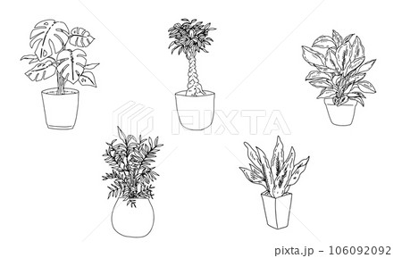 線画のお洒落な観葉植物のイラスト・インテリア・アイコンセット 線画のお洒落な観葉植物のイラスト・インテリア・アイコンセット 106092092