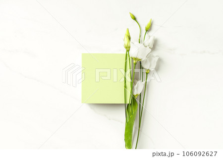 Spring summer minimal scene for beauty cosmetic product presentation template made with green cube and Lysianthus flower Spring summer minimal scene for beauty cosmetic product presentation template made with green cube and Lysianthus flower 106092627