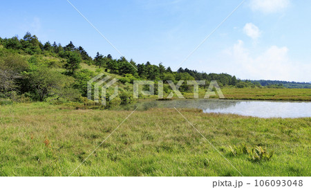 長野県諏訪市周辺自治体に跨る霧ヶ峰の八島湿原の夏 長野県諏訪市周辺自治体に跨る霧ヶ峰の八島湿原の夏 106093048
