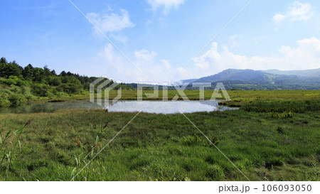 長野県諏訪市周辺自治体に跨る霧ヶ峰の八島湿原の夏　 106093050