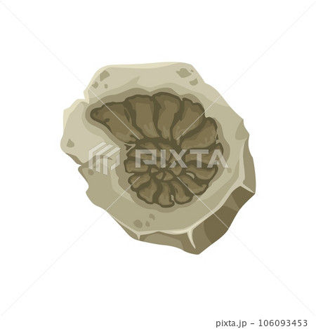 Marine fossil, ancient stone nautilus seashell imprint, vector underwater paleontology. Cartoon prehistoric sea animal shell silhouette. Jurassic ammonite mollusk imprint with spiral shell in rock Marine fossil, ancient stone nautilus seashell imprint, vector underwater paleontology. Cartoon prehistoric sea animal shell silhouette. Jurassic ammonite mollusk imprint with spiral shell in rock 106093453