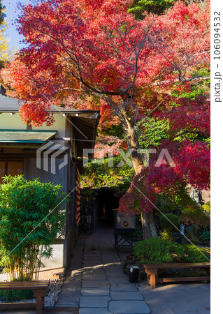 晩秋の古都鎌倉 紅葉の長谷寺 晩秋の古都鎌倉 紅葉の長谷寺 106094532