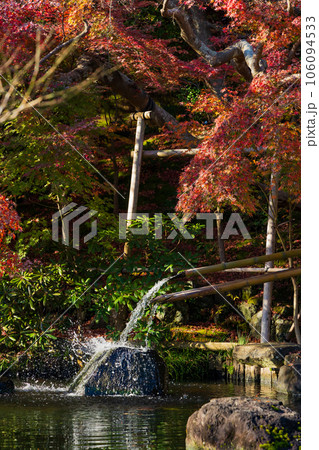 晩秋の古都鎌倉 紅葉の長谷寺 放生池の筧 晩秋の古都鎌倉 紅葉の長谷寺 放生池の筧 106094533