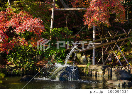 晩秋の古都鎌倉 紅葉の長谷寺 放生池の筧 晩秋の古都鎌倉 紅葉の長谷寺 放生池の筧 106094534