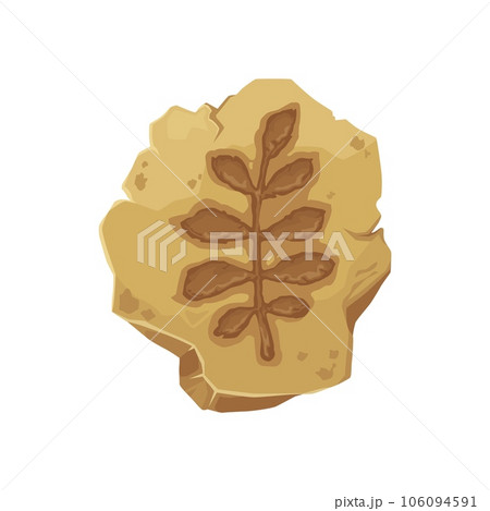 Fern fossil, ancient stone plant leaf imprint. Vector silhouette of prehistoric jungle forest plant foliage. Jurassic fern fossil, cartoon brown rock with neuropteris leaf imprint, ancient nature 106094591