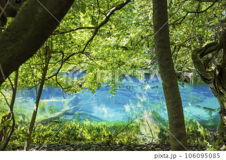 丸池様 山形県観光スポット 丸池様 山形県観光スポット 106095085