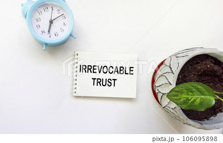 SAFE TRUST text on notepad with clock and flower on white background SAFE TRUST text on notepad with clock and flower on white background 106095898