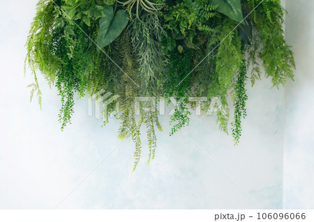 観葉植物を集めた壁面装飾 106096066
