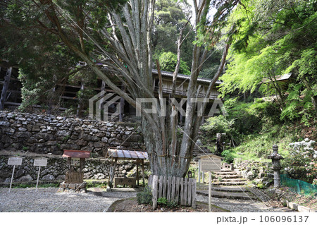 日龍峯寺(高澤観音)にちりゅうぶじ 岐阜県関市 日龍峯寺(高澤観音)にちりゅうぶじ 岐阜県関市 106096137