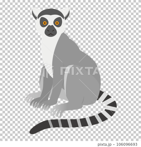 ワオキツネザルのイラスト 106096693