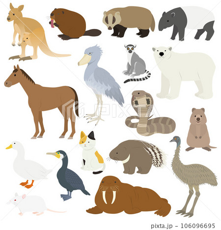 動物のイラストセット 動物のイラストセット 106096695