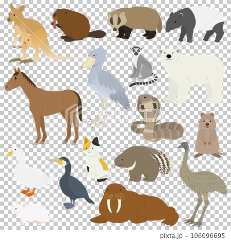 Animal illustration set Animal illustration set 106096695