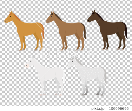 horse hair illustration 106096696