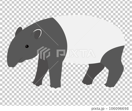 馬來貘圖 106096698