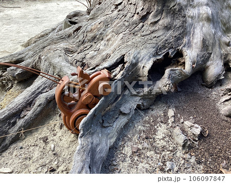 木のカラクリおもちゃ006＿車 106097847