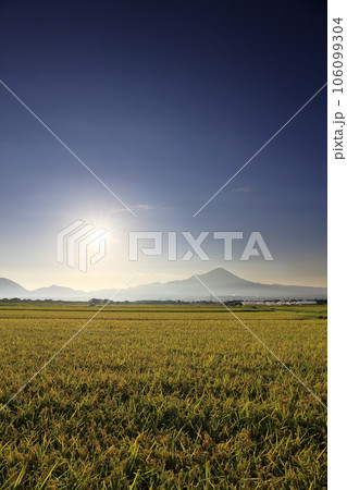 青空の下の鳥取県の伯耆大山と稲の緑が美しい夏の田園風景 青空の下の鳥取県の伯耆大山と稲の緑が美しい夏の田園風景 106099304