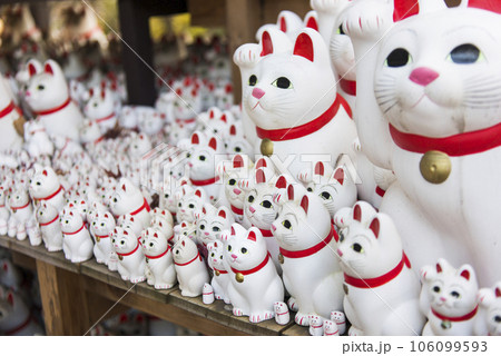 豪徳寺 招き猫 豪徳寺 招き猫 106099593