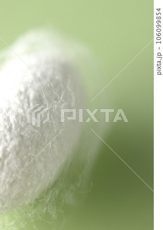 蚕が作り出す白い繭玉 106099854