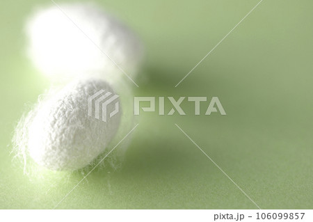 蚕が作り出す白い繭玉 106099857