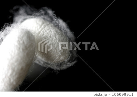 蚕が作り出す白い繭玉を黒背景で撮影 蚕が作り出す白い繭玉を黒背景で撮影 106099911
