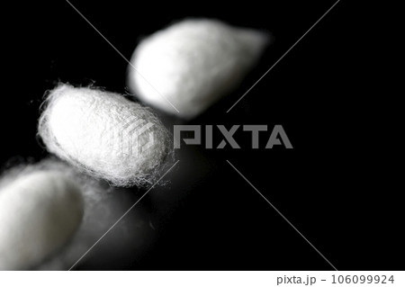蚕が作り出す白い繭玉を黒背景で撮影 106099924
