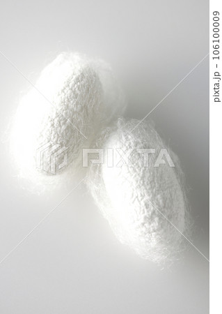 蚕が作り出す白い繭玉を白背景で撮影 106100009