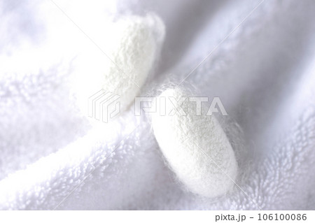 蚕が作り出す白い繭玉をタオルの上で撮影 106100086