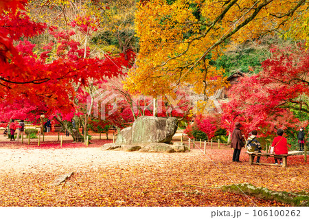 足守藩主大名庭園　晩秋の近水園　紅葉の庭7　岡山県岡山市北区足守 106100262