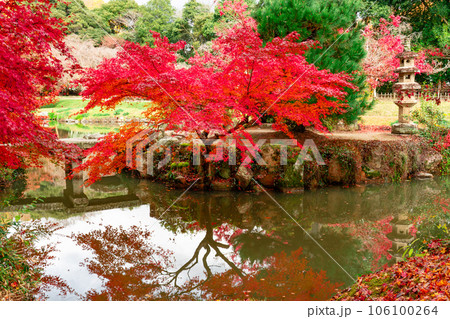 足守藩主大名庭園　晩秋の近水園　紅葉の庭と池3　岡山県岡山市北区足守 106100264