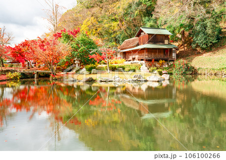 足守藩主大名庭園　晩秋の近水園　紅葉の庭と池と吟風閣6　岡山県岡山市北区足守 106100266