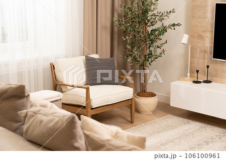 Cute armchair in modern Scandinavian style living room Cute armchair in modern Scandinavian style living room 106100961