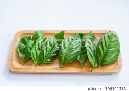 木の皿に並べたバジル 106101518