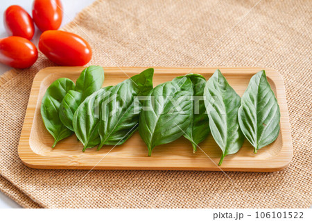 新鮮なハーブ バジル 新鮮なハーブ バジル 106101522