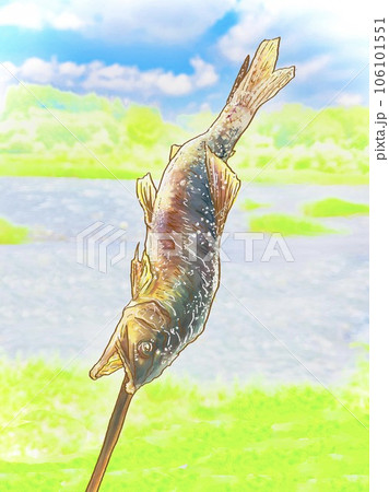 清流と鮎の塩焼き 清流と鮎の塩焼き 106101551