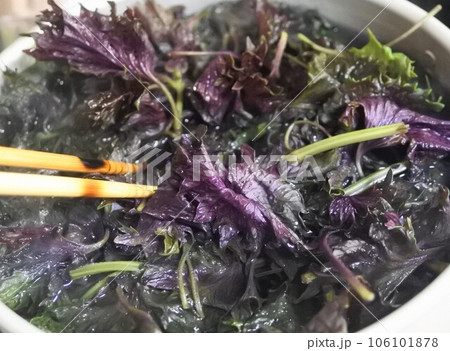 しそジュース レシピ しそジュース レシピ 106101878