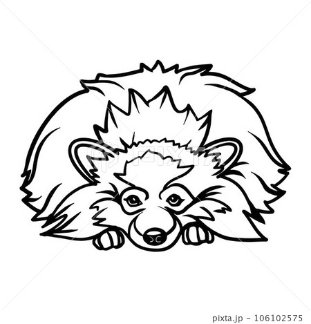 Pomeranian dog - Lying dog vector stock isolated illustration on white background. Pomeranian dog - Lying dog vector stock isolated illustration on white background. 106102575