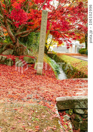 足守藩主大名庭園　晩秋の近水園　紅葉と堀と石橋と石碑2　岡山県岡山市北区足守 106102996