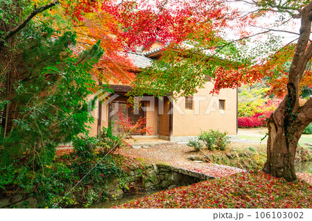 木下利玄生家の長屋門と紅葉3　岡山県岡山市北区足守 106103002