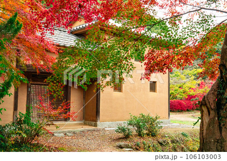 木下利玄生家の長屋門と紅葉4 岡山県岡山市北区足守 木下利玄生家の長屋門と紅葉4 岡山県岡山市北区足守 106103003